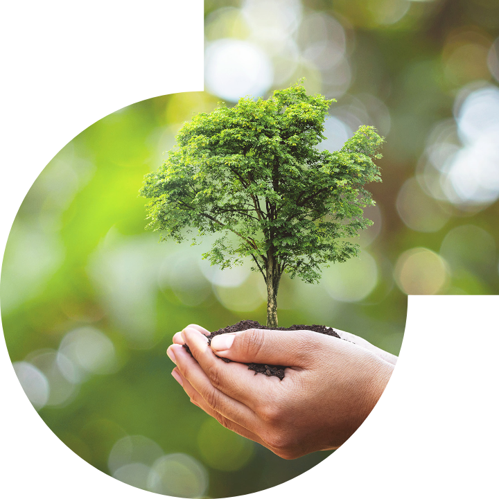 关怀人类、文化、环境与社会